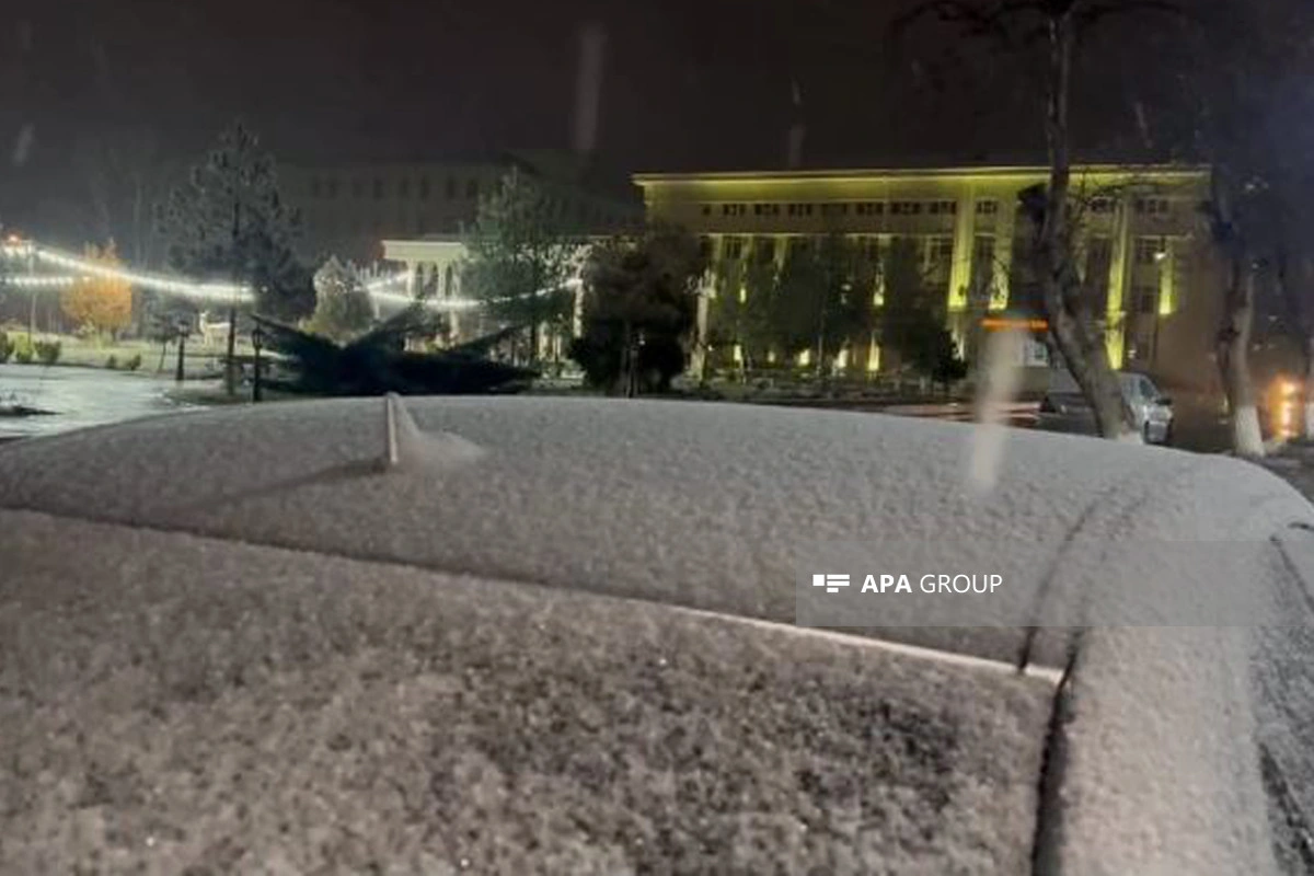 Naxçıvana ilk qar yağıb - FOTO