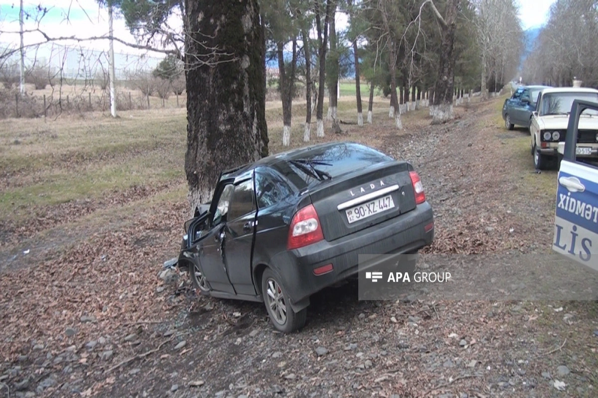 Zaqatalada avtomobil ağaca çırpılıb, xəsarət alanlar var - FOTO - YENİLƏNİB