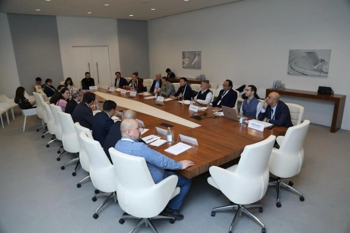Türk dünyası animasiya şəbəkəsinin qurulması təklif edilib