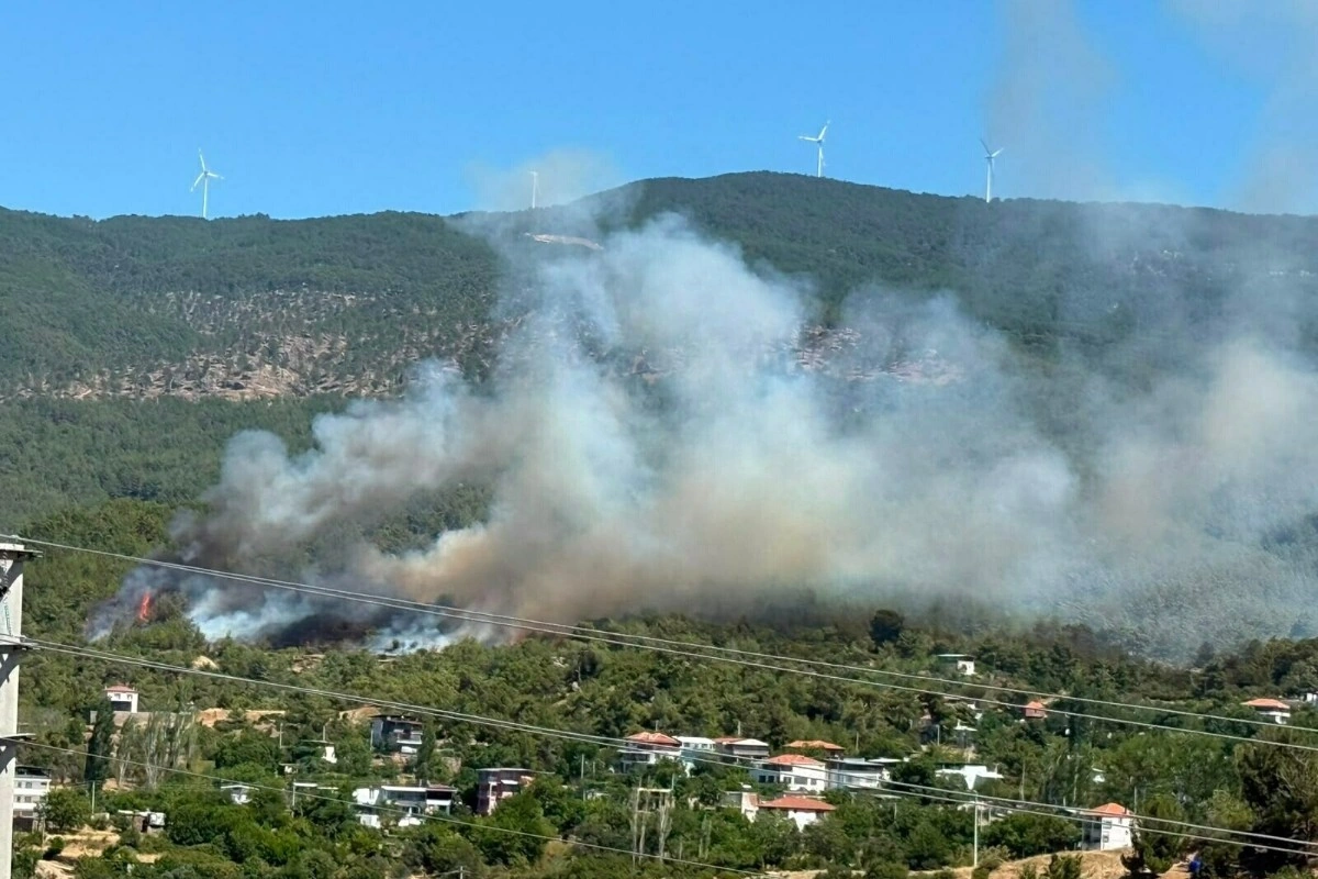 Türkiyədə 2 vilayətdə şiddətli meşə yanğınları davam edir