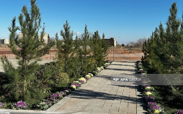 Ağdamda 5 hektarlıq mərkəzi park salınacaq