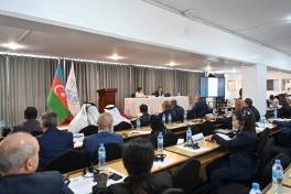 Tanzaniyada QHPŞ-nin koordinasiya iclası keçirilib, Azərbaycanın sədrliyi dövründə görülən işlər açıqlanıb