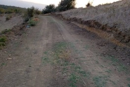 Cəlilabadda yol tikintisi zamanı qədim əşyalar aşkarlanıb - FOTO