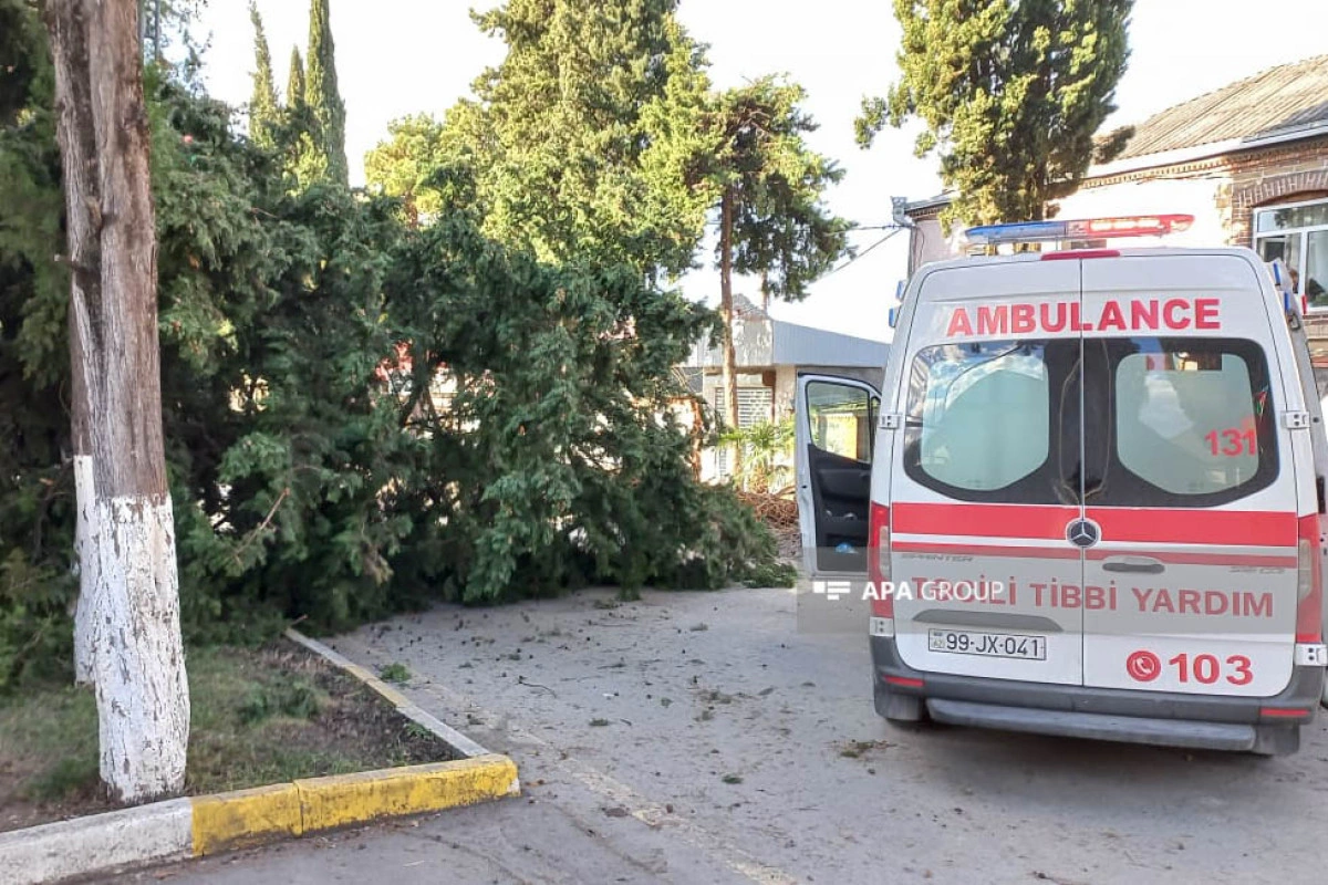 Zaqatalada külək irigövdəli ağacları yola aşırıb, xəsarət alan var - FOTO - YENİLƏNİB