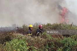 Lənkəranda açıq sahədə yanğın başlayıb - FOTO