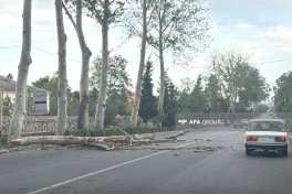Güclü külək Bərdə, Tərtər və Ağdamda fəsadlar yaradıb - FOTO