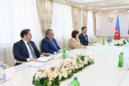 Sahibə Qafarova BƏƏ Federal Milli Şurası sədrinin birinci müavini ilə görüşüb
