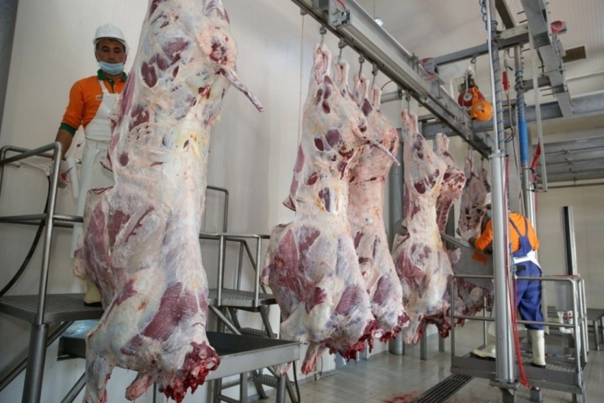 Azərbaycanda 134 ünvanda qurbanlıq heyvanların satışı və kəsimi təşkil olunub