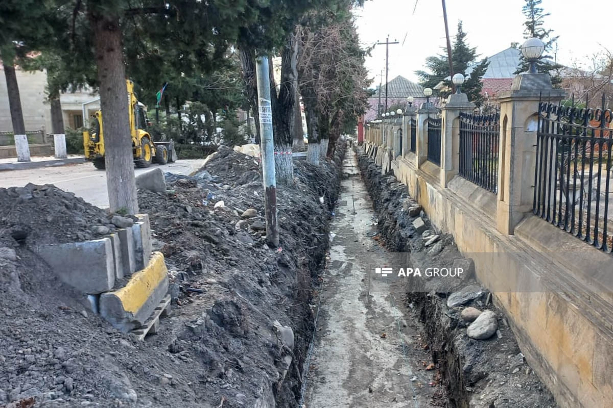 Zaqatalada külək irigövdəli ağacları yola aşırıb, xəsarət alan var - FOTO - YENİLƏNİB