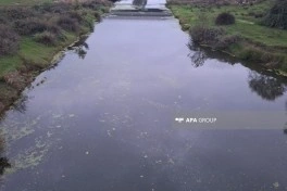 Lənkəranda balıq tutan kişi ölüb