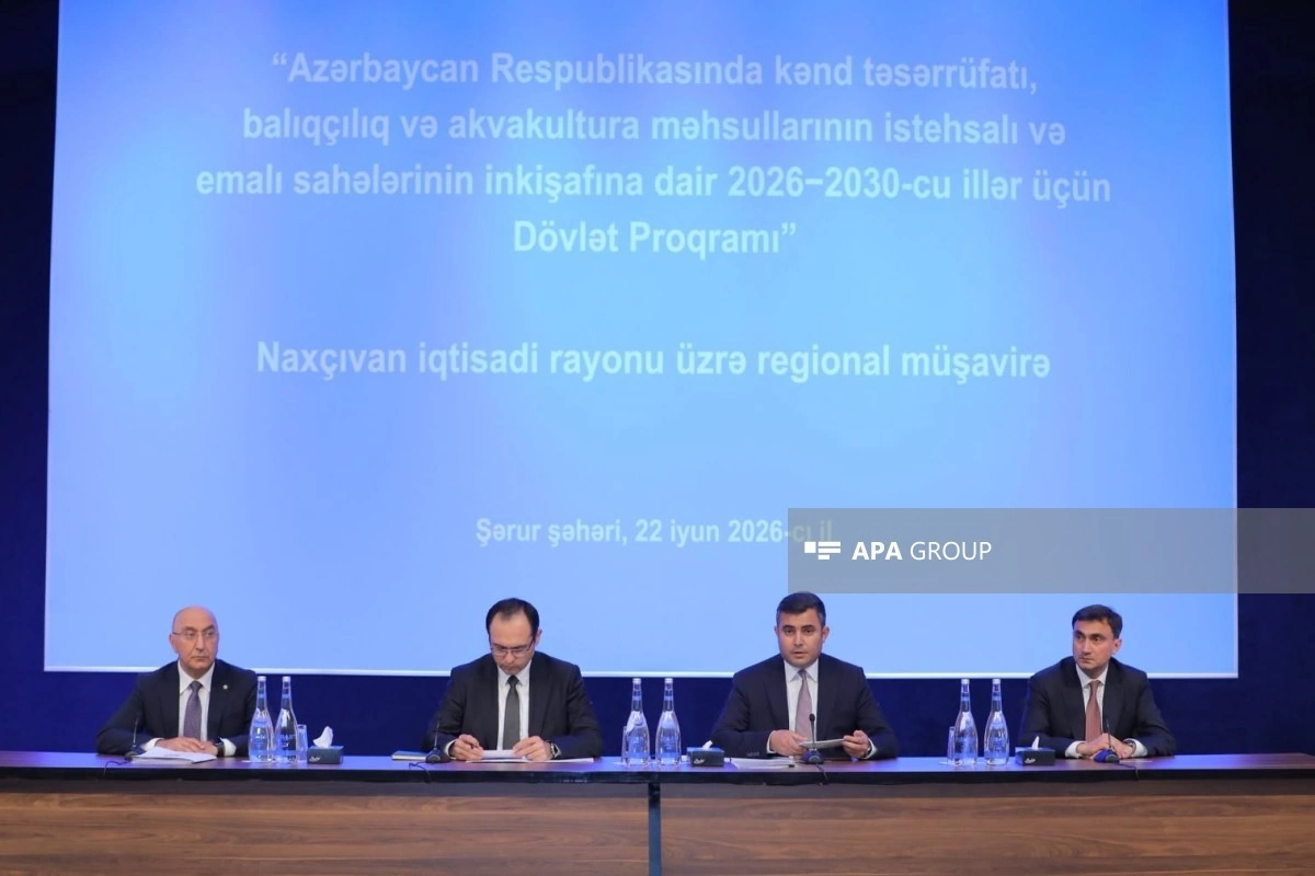 Səlahiyyətli nümayəndə: Naxçıvan ən əlverişli investisiya və istehsal məkanlarından biri hesab edilə bilər