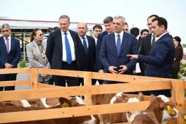 Əlaqələndirmə Qərargahının növbəti iclası Ağdərə şəhərində keçirilib - FOTO - YENİLƏNİB