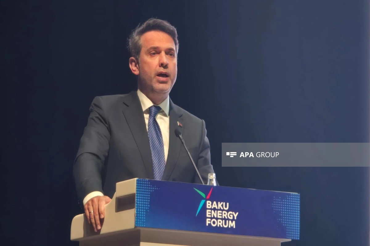 Alparslan Bayraktar: Enerji sektorunda etibarlı tənzimləyici çərçivələr formalaşdırmalıyıq