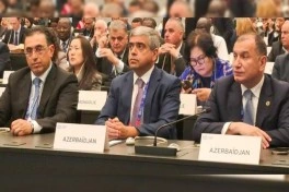 Nazir Anar Əliyev Beynəlxalq Əmək Konfransının sessiyasında çıxış edib