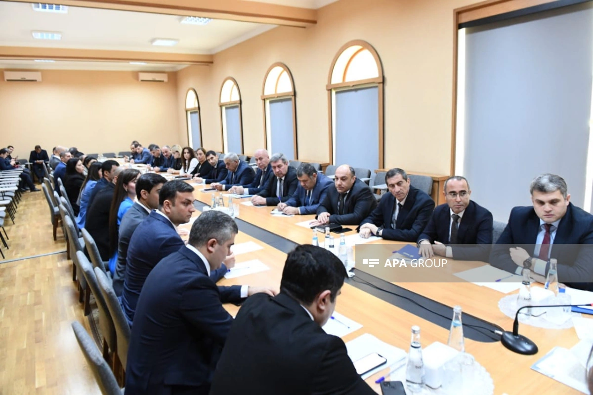 Səbinə Əliyeva: Seçki günü Ombudsman Aparatına daxil olan müraciətlər araşdırılacaq