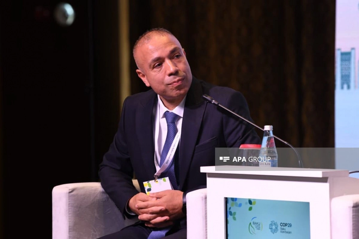 Nazir müavini: Azərbaycanda 1 800-ə yaxın aktiv elektrik enerjisi istehlakçısı var