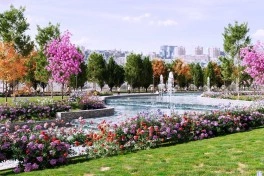 Bakıda yeni park salınır - FOTO