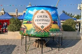 Ucarda “Aqrar Biznes” və “I Çəltik” festivalı keçirilib - FOTO