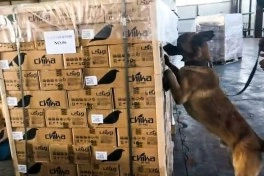 “Şahtaxtı” gömrük postunda 112 kiloqramdan artıq heroinin keçirilməsinin qarşısı alınıb