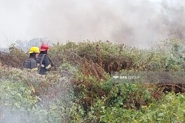 Lənkəranda açıq sahədə yanğın başlayıb - FOTO