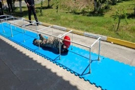 FHN-in Aran Regional Mərkəzi zona birinciliyi keçirib - FOTO