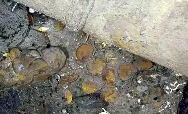 3 ölkənin bölüşə bilmədiyi 18 milyard dəyərində dəfinə  - Fotolar