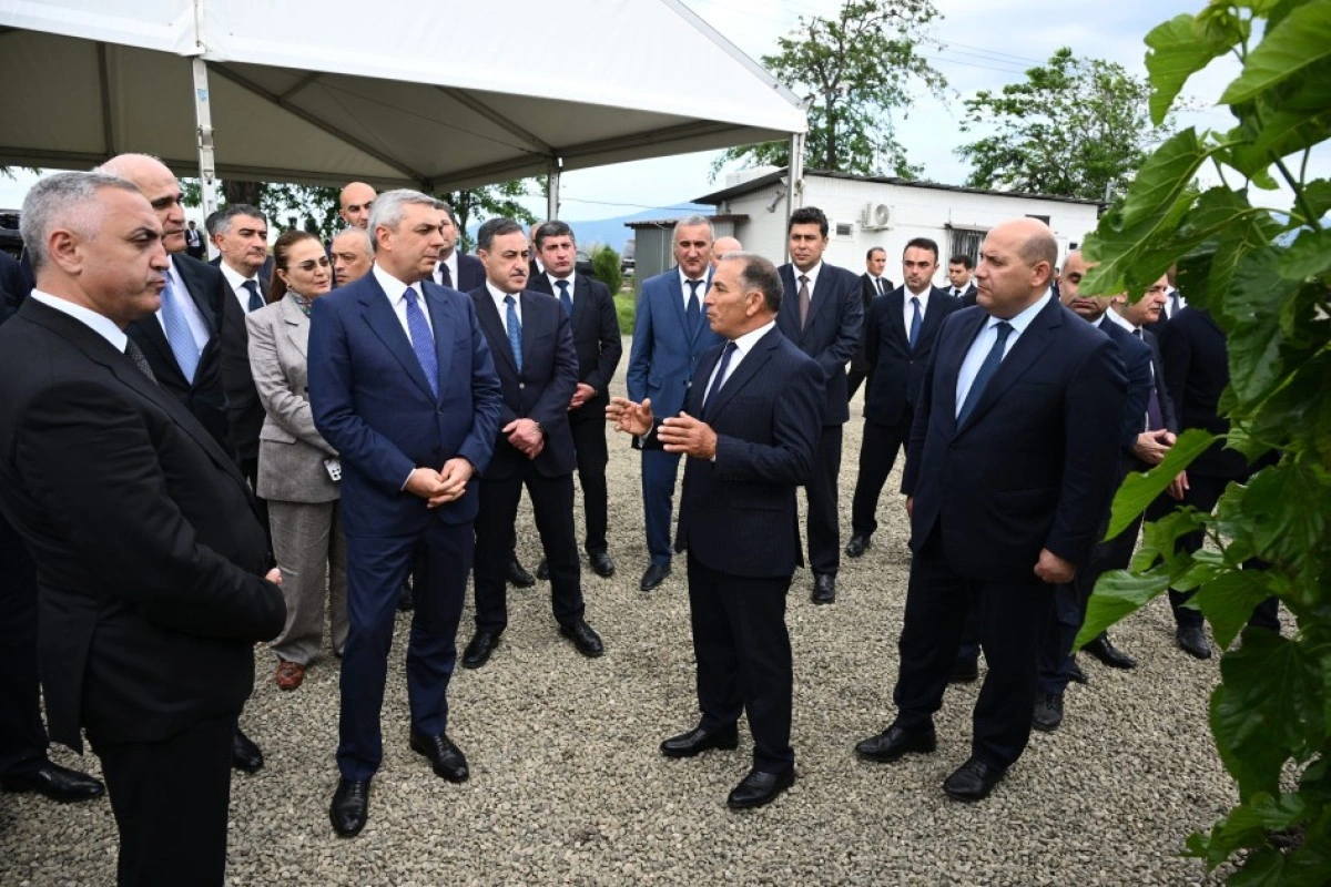 Xocalının Daşbulaq kəndində baramaçılığın inkişafı üçün yaradılmış infrastruktura baxış keçirilib