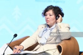 Ümumdünya Ətraf Mühit Gününə həsr olunmuş tədbirdə növbəti panel keçirilib - FOTO