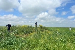 Ağdərə və Ağdamda yeni arxeoloji abidələr aşkar edilib - FOTO