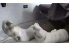 Milli Qəhrəman Çingiz Mustafayevin soyqırımı zamanı lentə aldığı Ləfxanım Mahmudova Xocalıya qayıdıb - FOTO