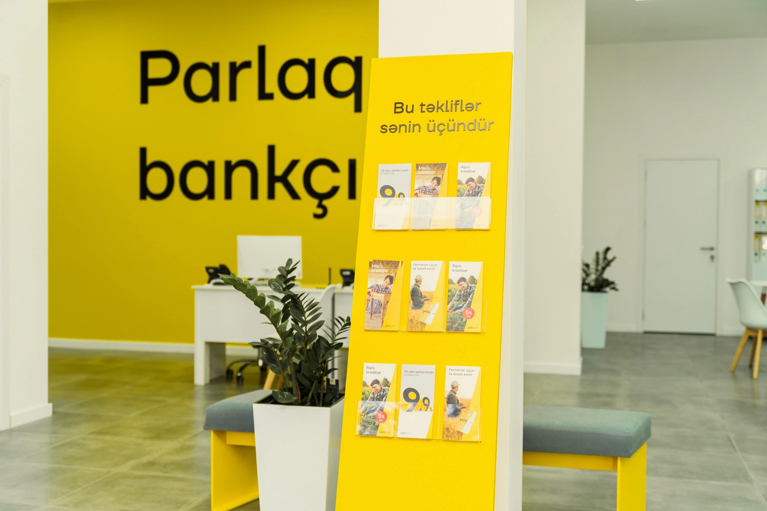 “Yelo Bank” artıq Masallıda!  - Fotolar