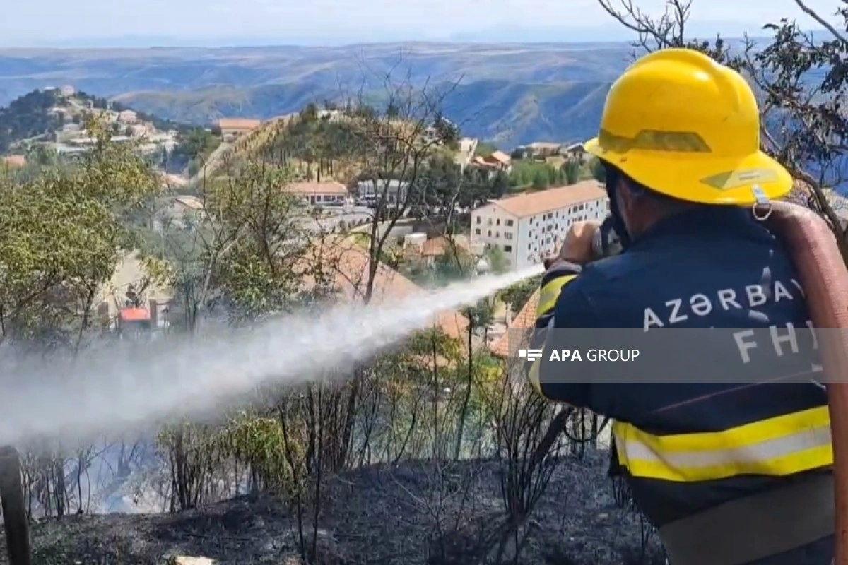 Laçında yaşayış evlərinin yaxınlığında yanğın olub - FOTO