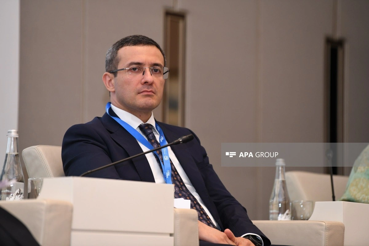 Direktor: Azərbaycanın COP29-a ev sahibliyi iqlim diplomatiyasının inkişafına mühüm töhfə verib