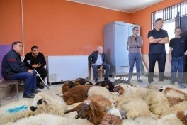 Bayramın ilk günü: “Əshabi-Kəhf" ziyarətgahı - FOTOLENT