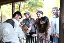 Leyla Əliyeva Yevlaxda “Gənc arıçı” layihəsinin iştirakçısı ilə görüşüb