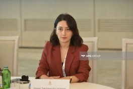 İtkin düşmüş şəxslər üzrə beynəlxalq konfransda humanitar əməkdaşlığın gücləndirilməsi müzakirə olunub - FOTO