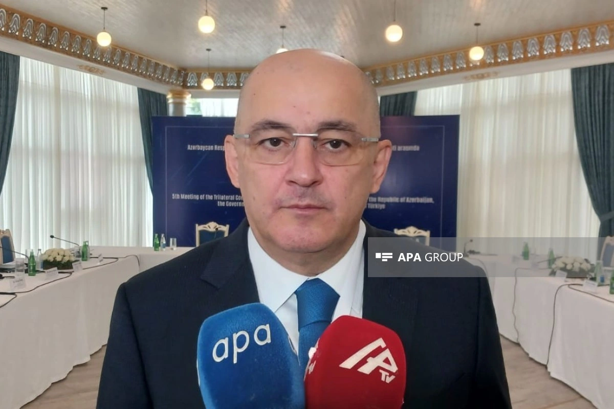 Şahin Bağırov: Azərbaycanın NCTS-ə qoşulması istiqamətində işlər davam etdirilir