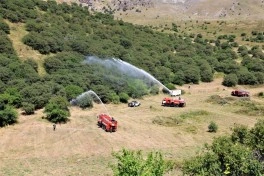 Şahbuz rayonunda meşəlik ərazidə yanğın-taktiki təlim keçirilib - FOTO