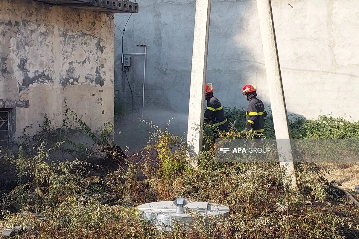 Lənkəranda yanğının ətraf ərazilərə keçməsinin qarşısı alınıb