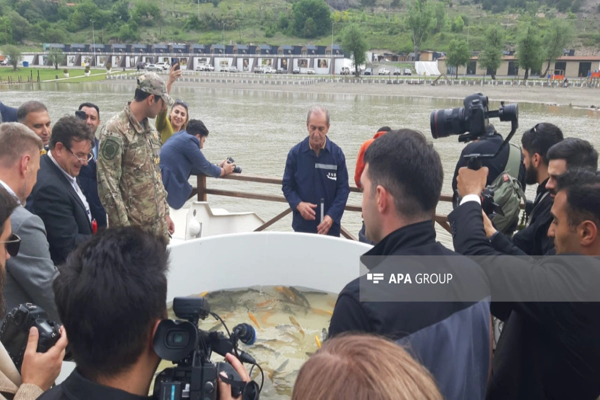 Diplomatlar Həkəri çayına balıq körpələri buraxıb - FOTO