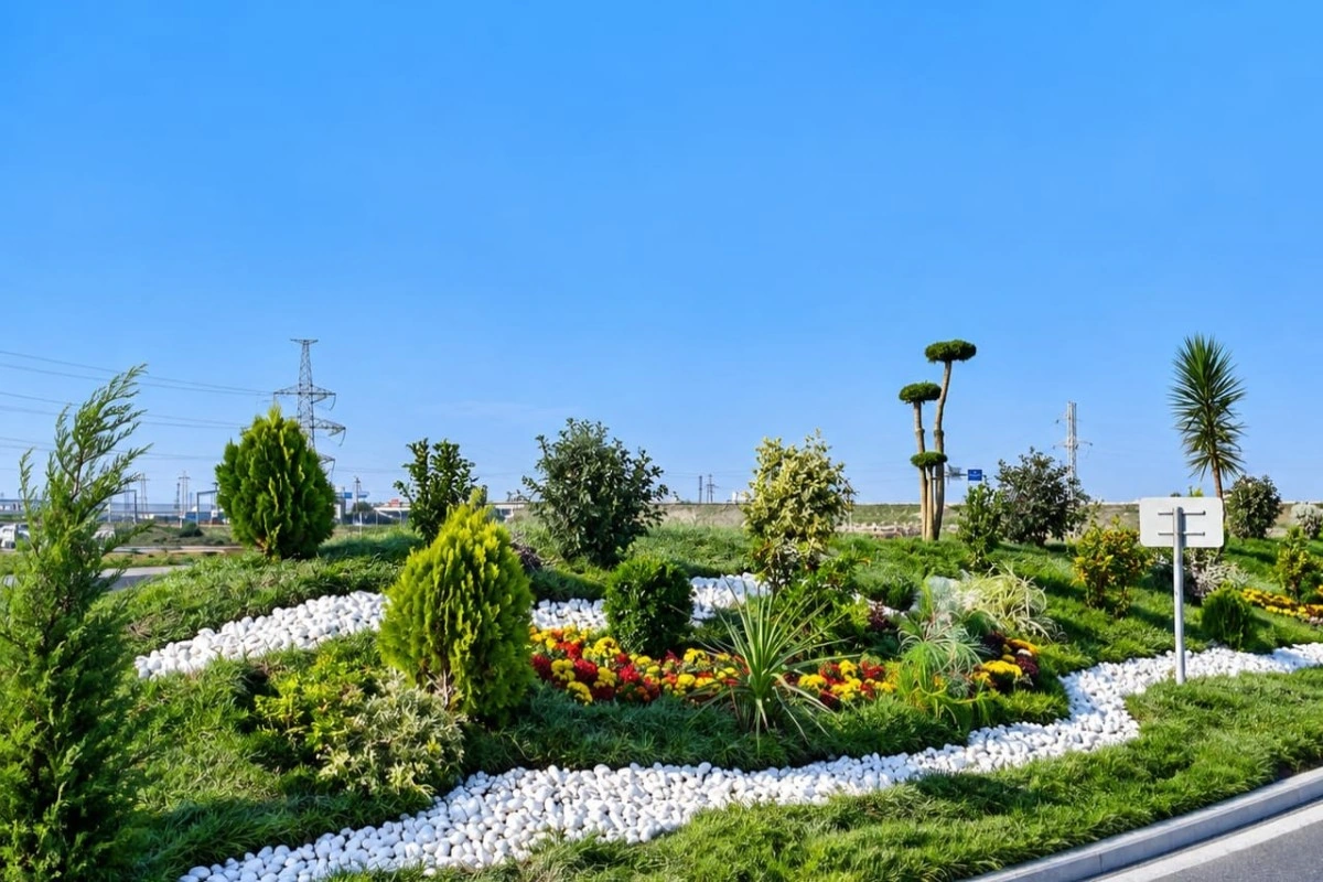 Sumqayıtda genişmiqyaslı abadlıq və yaşıllaşdırma işləri aparılır - FOTO