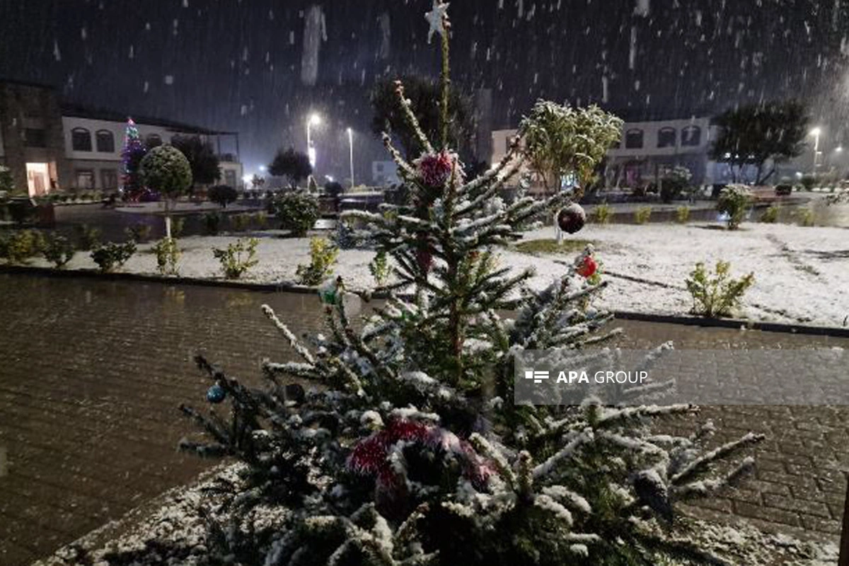 Zəngilanın əksər yerləri ağ örpəyə bürünüb - FOTO