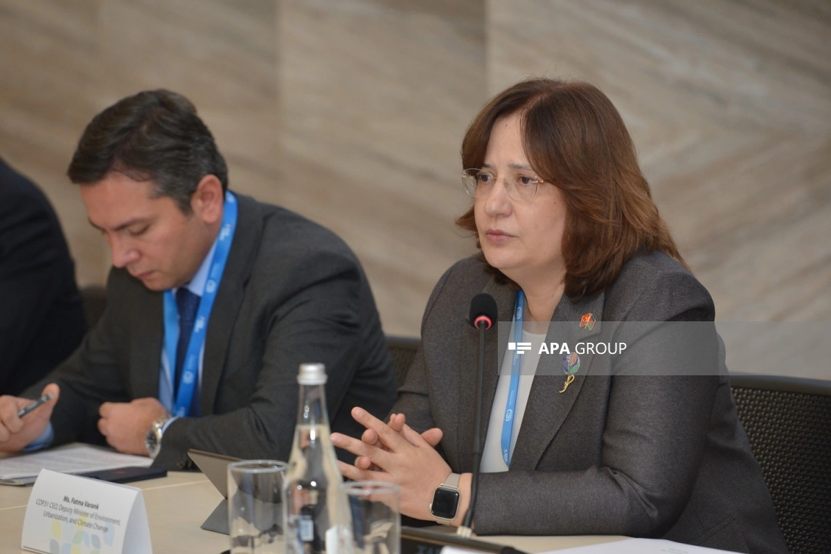 Fatma Varank: COP31-də dünyada iqlim maarifləndirilməsinin genişləndirilməsi hədəflənir