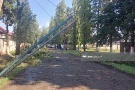 Lənkəranda güclü külək bir sıra fəsadlar törədib, 15-ə yaxın irigövdəli ağac aşıb
