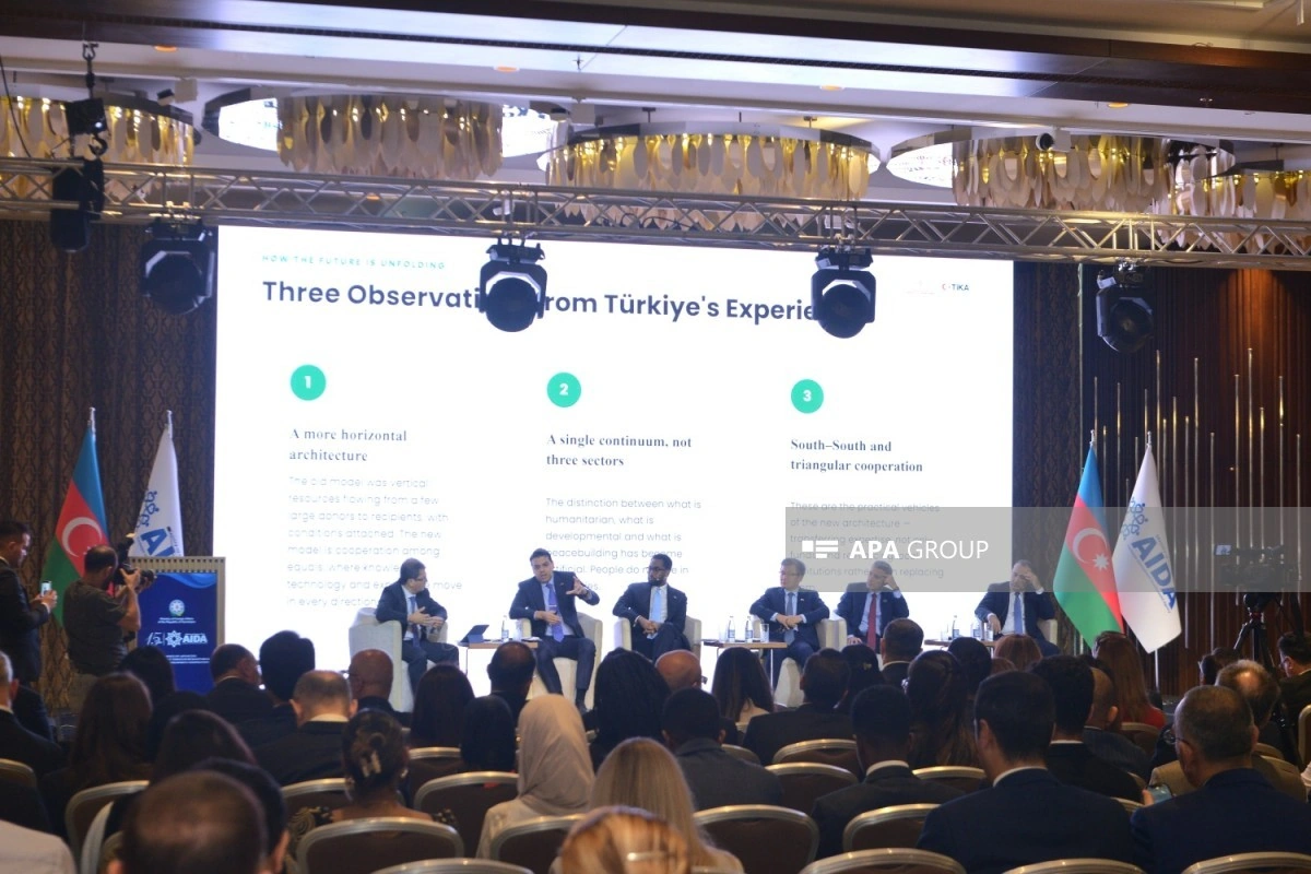 Bakıda AIDA-nın 15 illiyi münasibətilə panel müzakirəsi keçirilib - FOTO