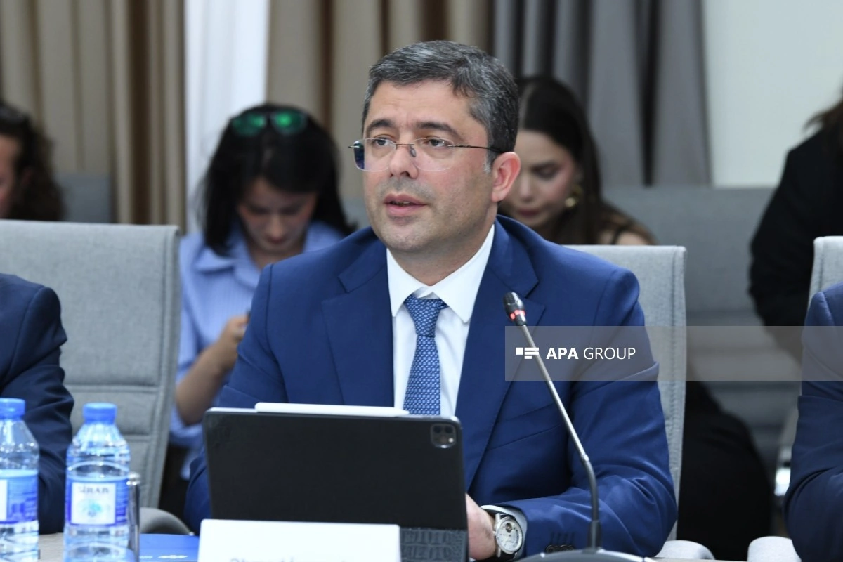 Əhməd İsmayılov: Erkən yaşlarda tənzimlənməyən sosial şəbəkə istifadəsi problemlərə səbəb ola bilər