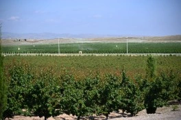 Əlaqələndirmə Qərargahının üzvlərinin Ağdərə və Xocalıya səfəri başlayıb